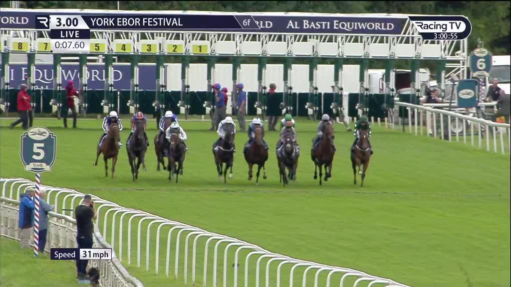 Ross Millar's Juvenile Watch Task Force has star quality