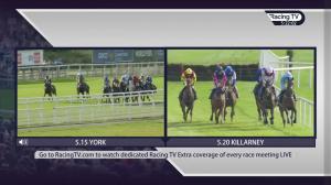 Video preview image for York 17:15 - Sky Bet Mile Handicap (Heritage Handicap) (2)