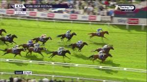 Video preview image for Killarney 16:15 - Killarney Avenue Hotel Beginners Chase