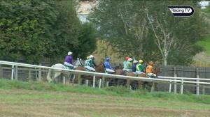 Video preview image for Downpatrick 16:55 - Dennison JCB Handicap Chase 
