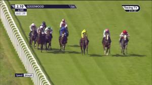 Video preview image for Goodwood 14:10 - British EBF 40th Anniversary Peter Willett Future Stayers' Maiden Stakes (Sire and Dam-Restricted) (2)