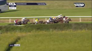 Video preview image for Goodwood 16:30 - Ambrose Harcourt Memorial Novice Stakes (4)