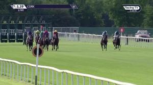 Video preview image for Cork 17:39 - Irish EBF Auction Series
