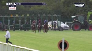 Video preview image for Cork 19:10 - Irish Stallion Farms EBF Rated