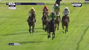 Video preview image for Kelso 16:25 - Rbc Brewin Dolphin Handicap Hurdle (Qualifier) (3)