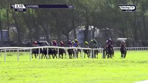 Video preview image for Listowel 15:15 - Guinness Handicap Hurdle (Div 2)