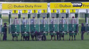 Video preview image for Newbury 15:50 - Horris Hill School EBF Novice Stakes (4)