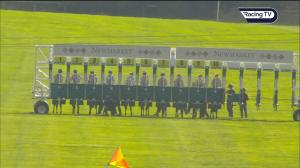 Video preview image for Newmarket 16:00 - Turners Cesarewitch Trial Handicap (2)