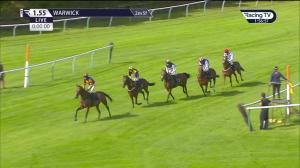 Video preview image for Warwick 13:55 - NAF Novices' Hurdle (4)