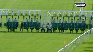 Video preview image for Leicester 15:50 - Dale Hall & Hickman Associates Handicap (5)