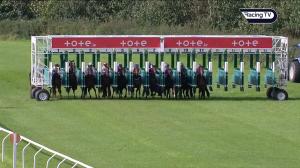 Video preview image for Down Royal 15:00 - Irish EBF Auction Series Fillies Maiden