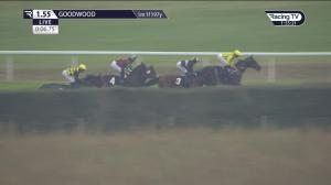 Video preview image for Goodwood 13:55 - QIPCO British Champions Series EBF Maiden Stakes (2)