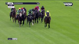 Video preview image for Goodwood 15:05 - Heineken Handicap (4)
