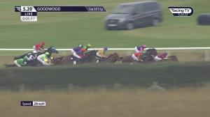 Video preview image for Goodwood 17:20 - Goodwood Racehorse Owners' Group Handicap (4)