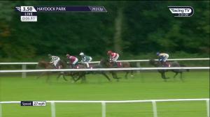 Video preview image for Haydock Park 15:50 - cavani.co.uk The Tuxedo Tussle EBF Maiden Stakes (4)