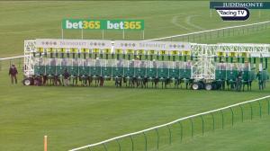 Video preview image for Newmarket 16:15 - Blandford Bloodstock Maiden Fillies' Stakes (3)