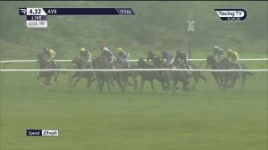 Video preview image for Ayr 16:32 - Virgin Bet Daily Extra Places Handicap (6) (Div 2)