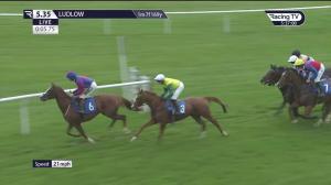 Video preview image for Ludlow 17:35 - Racing TV Open National Hunt Flat (4)