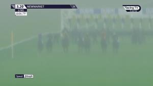 Video preview image for Newmarket 17:20 - Godolphin Under Starters Orders Maiden Fillies' Stakes (3) (Div 2)