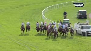Video preview image for Cork 15:10 - Finbarr Galvin Cupra Handicap Hurdle (Div 1)