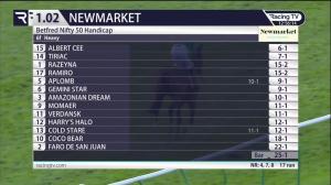 Video preview image for Ascot 12:55 - Grundon Waste Management Conditional Jockeys' Novices' Handicap Hurdle (4)