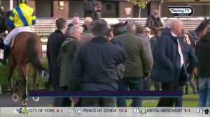 Video preview image for Ascot 14:05 - Byrne Group Handicap Chase (Premier Handicap) (1)