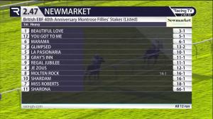 Video preview image for Ascot 14:40 - Gl Events Novices' Hurdle (3)