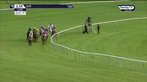 Video preview image for Ayr 14:53 - Burton Roofing Merchants Handicap Hurdle (4)