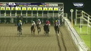 Video preview image for Chelmsford City 17:00 - Racing Welfare Newcomers' Maiden Stakes (5)