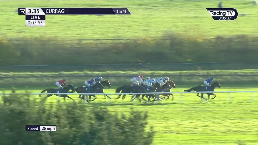 Feathertop Race Record, Statistics & Wins Racing TV