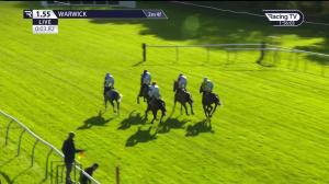 Video preview image for Warwick 13:55 - Stan Mellor Memorial Novices' Chase (3)