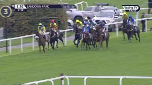Video preview image for Sandown Park 13:40 - Tattersalls Tingle Creek Festival Sale Maiden Hurdle (4)
