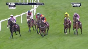 Video preview image for Sandown Park 14:15 - Amazing Sri Lanka Elmbridge Handicap Chase (3)