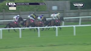 Video preview image for Sandown Park 15:25 - Sri Lanka Paradise Island Veterans' Handicap Chase (Leg 9) (2)