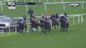 Video preview image for Sandown Park 16:00 - Sri Lanka Awaits You Open National Hunt Flat (4)