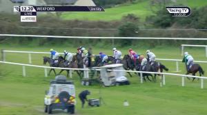 Video preview image for Wexford 12:20 - Wexford Racing Members Supporters Club Maiden Hurdle