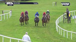 Video preview image for Wexford 13:25 - Irish Stallion Farms EBF Mares Hurdle