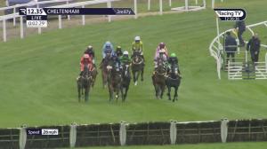 Video preview image for Cheltenham 12:35 - JCB Triumph Trial Juvenile Hurdle (Prestbury) (Grade 2) (1)