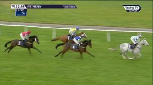 Video preview image for WETHERBY 12:44 - Follow @racingtv On Twitter  Novices' Limited Handicap Chase (3)