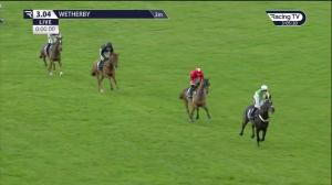 Video preview image for WETHERBY 15:04 - Save Our Sport Sign The Petition Handicap Hurdle (Qualifier) (3)