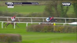 Video preview image for Wincanton 12:55 - Kingwell Farm Novices' Limited Handicap Chase (3)