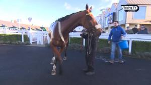 Video preview image for Ascot 14:00 - S.A.F.E. Handicap Chase (2)