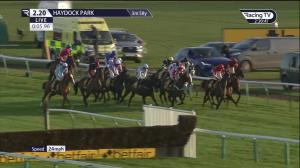 Video preview image for Haydock Park 14:20 - Betfair "Serial Winners" Stayers' Handicap Hurdle (Premier Handicap) (1)