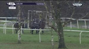 Video preview image for Ludlow 15:07 - Mad Men At Prostate Awareness Novices' Handicap Chase (4)