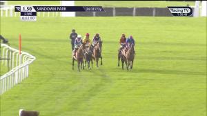 Video preview image for Sandown Park 13:50 - Betfair Beacons Winter Novices' Hurdle (Grade 2) (1)