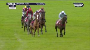 Video preview image for Sandown Park 12:05 - Betfair Supports Racing With Pride Mares' Handicap Hurdle (Qualifier) (3)