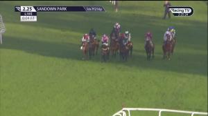 Video preview image for Sandown Park 14:25 - Rachael Blackmore Serial Winners Fund Handicap Hurdle (2)