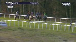 Video preview image for Exeter 14:50 - Haldon Stayers' Crown Handicap Chase (3)