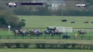 Video preview image for Naas 14:55 - John Thomas McNamara Series (Q.R.) Handicap Hurdle (Div 2)
