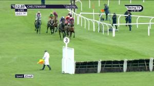 Video preview image for Cheltenham 12:05 - JCB Triumph Trial Juvenile Hurdle (Qualifier) (2)